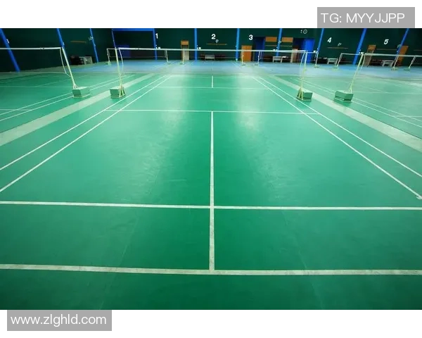 北京羽毛球队的辉煌历程与成长蜕变全景揭秘